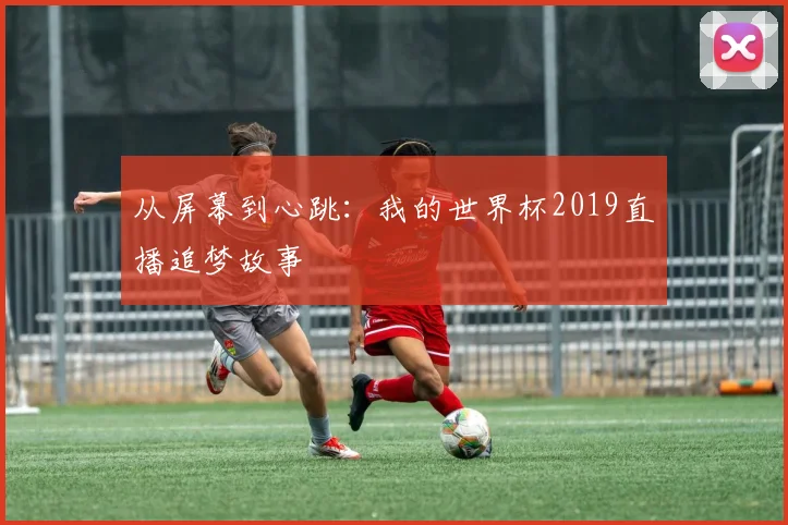 从屏幕到心跳：我的世界杯2019直播追梦故事