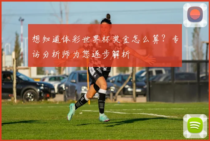 想知道体彩世界杯奖金怎么算?专访分析师为您逐步解析
