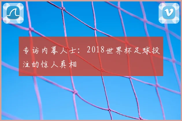 专访内幕人士：2018世界杯足球投注的惊人真相