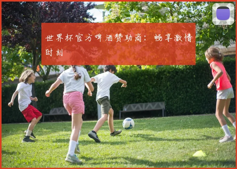 世界杯官方啤酒赞助商：畅享激情时刻