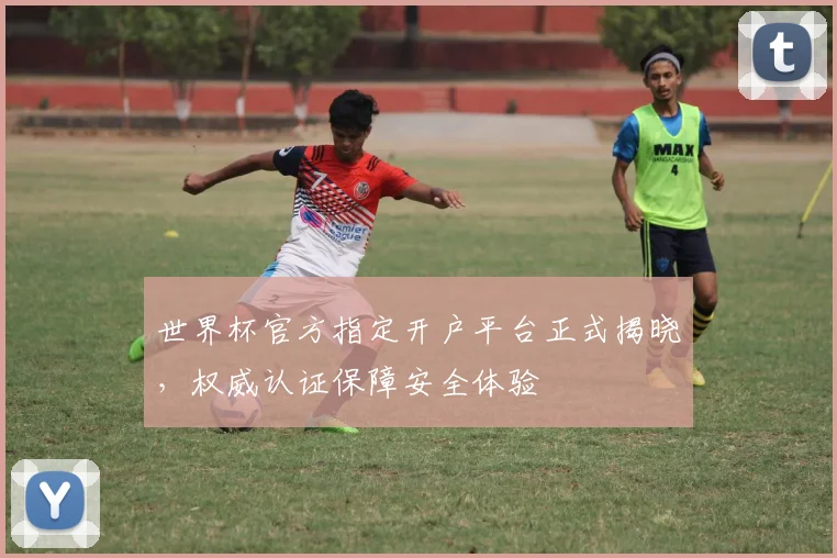 世界杯官方指定开户平台正式揭晓，权威认证保障安全体验