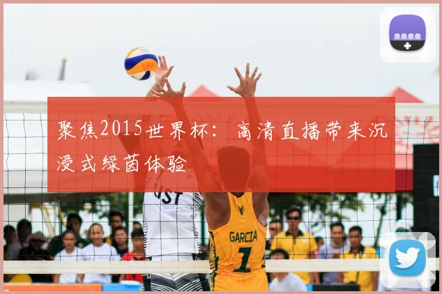 聚焦2015世界杯:高清直播带来沉浸式绿茵体验