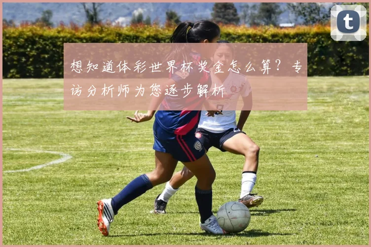 想知道体彩世界杯奖金怎么算?专访分析师为您逐步解析