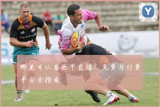 哪里可以看西甲直播？免费与付费平台全指南